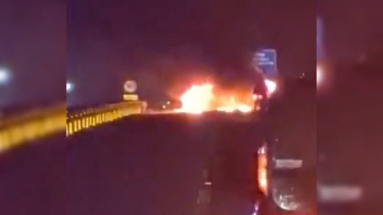 Reportan múltiples cortes de ruta en La Araucanía: Árboles son utilizados como barricadas