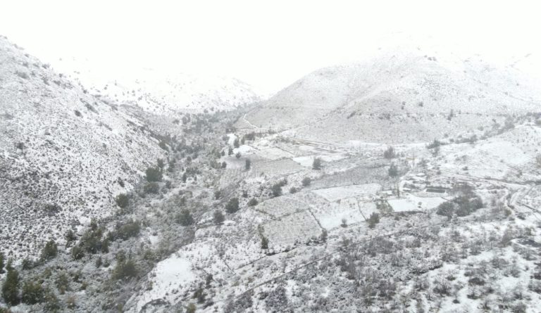 Zonas rurales de Illapel afectadas por la sequía amanecieron cubiertas de blanco tras sistema frontal