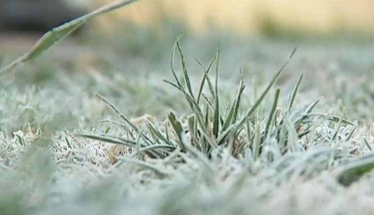 Además de nevadas y lluvias: Meteorología emite advertencia por heladas de hasta -5° en siete regiones