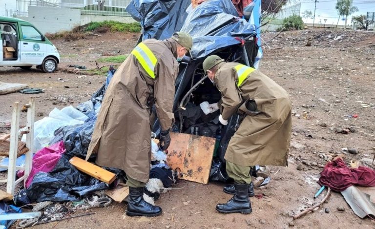 Mujer murió aplastada tras caída de árbol mientras dormía al interior de una carpa en Ovalle