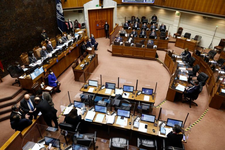 Senado aprobó Bono de Invierno y extensión del permiso de posnatal parental