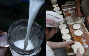 Columna del doctor Héctor Gajardo: Vitamina D para todos