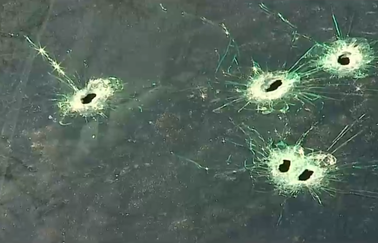 Viajaba en auto con sus padres: Niña de 5 años recibió impacto balístico en La Pintana