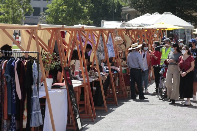 Hasta $3.500.000: Cómo acceder al Capital Abeja, el fondo para apoyar a emprendedoras