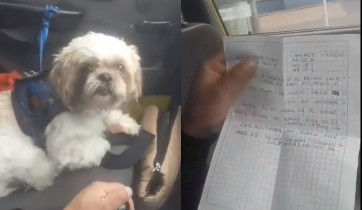 Perrito fue abandonado en taxi en Colombia: Dueños dejaron hasta instrucciones para su cuidado