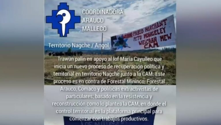 Coordinadora Arauco Malleco reconoce nueva toma de 7 predios en la comuna de Angol