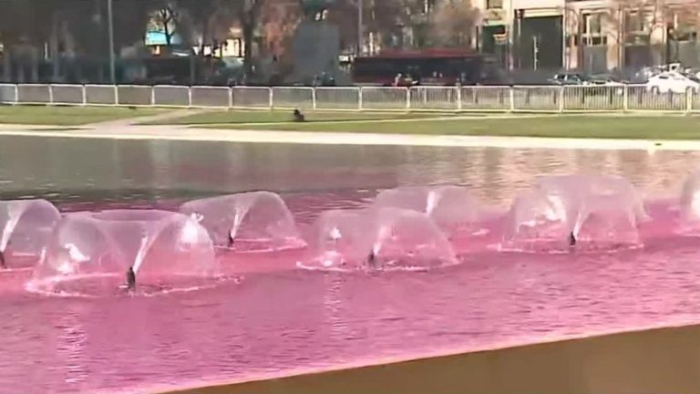 Tiñen de rojo el agua de la pileta de la Plaza de la Constitución