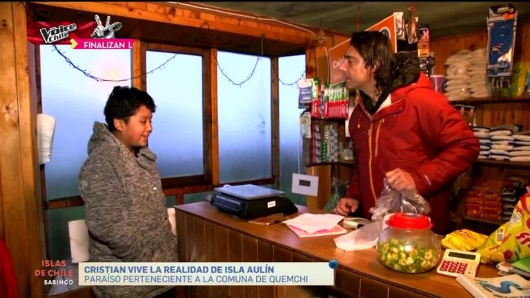 Islas De Chile: Isla Aulín