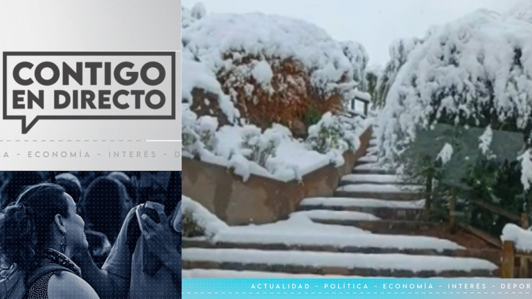 Intenso sistema frontal: Mujer falleció al ser aplastada por un árbol mientras dormía