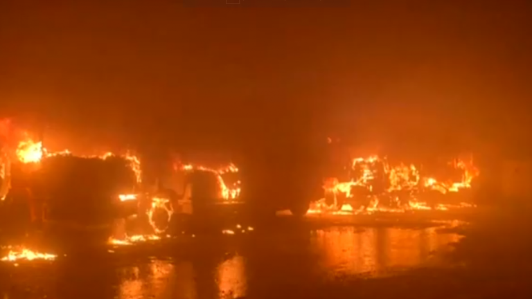 Encapuchados queman una veintena de camiones de empresa agrícola en Los Ríos