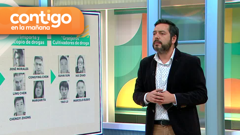 “Encuentran un galpón gigante con más de 1500 plantas de marihuana”: Esta fue la pista que dio con el paradero de los “Bang de Fujian”