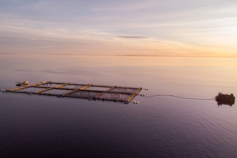 Denuncian operación de concesiones salmoneras al interior de Parques Nacionales