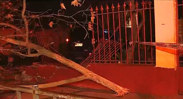 Insólito: Auto terminó incrustado en frontis de colegio tras derribar la reja y un árbol en Ñuñoa
