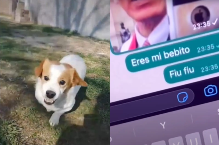Este es Pancho, el perro que se hizo famoso por su reacción furiosa al escuchar 
