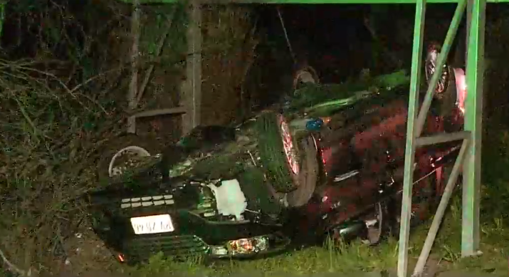 Auto con 12 ocupantes se volcó tras esquivar a una jauría de perros: Hay 4 víctimas en riesgo vital