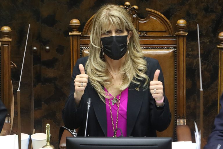 Ximena Rincón y críticas por guiño del Rechazo a campaña del No: 