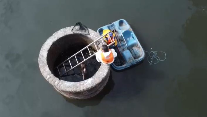 El rescate de un pelícano que cayó en pozo de estero Marga Marga: Estuvo casi 24 horas atrapado