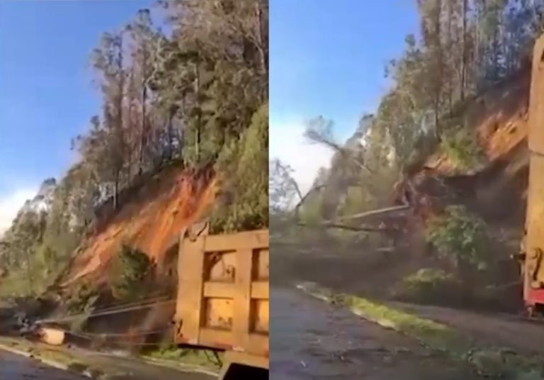 Alcalde de Chiguayante emplaza al gobierno y la Onemi tras deslizamiento de tierras y caídas de árboles