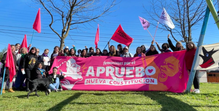 Ex constituyente denuncia que hombre la amenazó y le arrojó leña mientras hacía campaña por el Apruebo