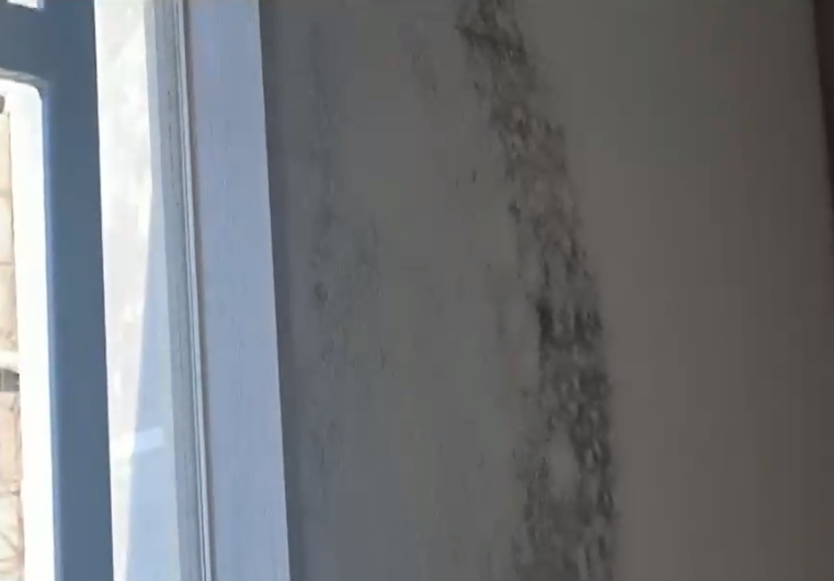 Recién entregadas: Vecinos de Maipú denuncian graves problemas con humedad y hongos en sus casas