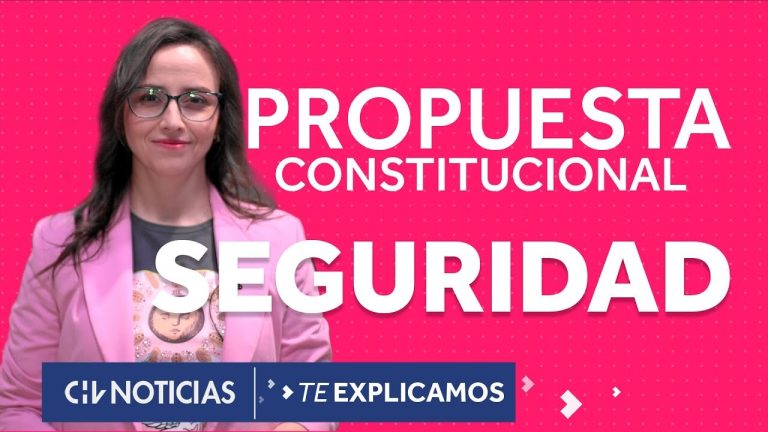 ¿Qué dice la propuesta de la nueva Constitución sobre seguridad?