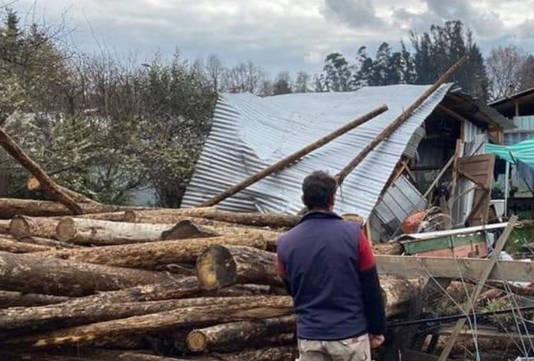 Tren de carga se descarriló y destruyó parte de una vivienda en La Araucanía