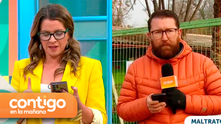 ¿Qué se debe hacer si un alumno presenta signos de abuso? Directores y profesores informan sobre los protocolos en el Matinal de CHV