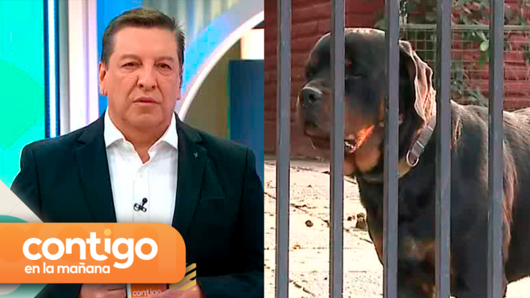 “Esta noticia me dejó súper afectado”: La conmoción de Julio César por el ataque de dos rottweilers contra niña de 5 años