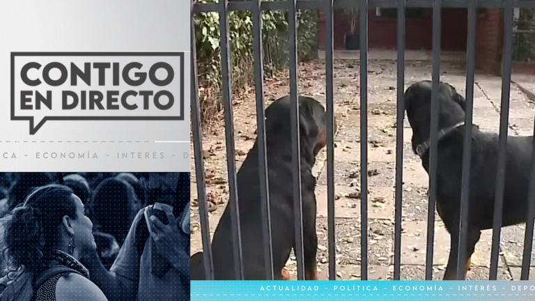 Ley de tenencia responsable: Formalizan a dueña de perros que atacaron a niña de 5 años