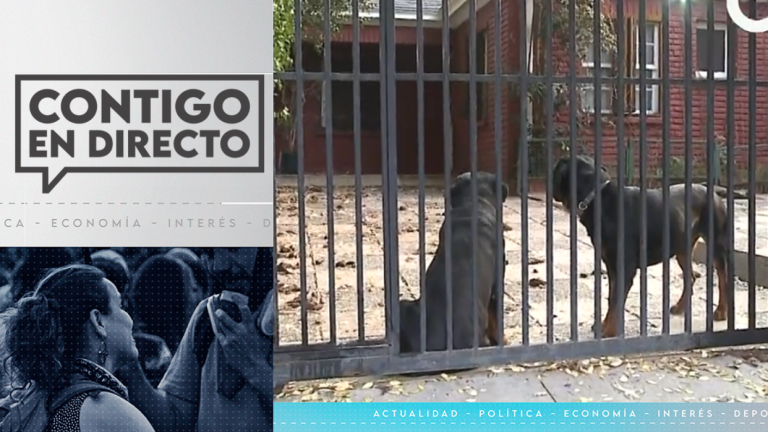 Dueña quedó con arraigo nacional: Padre de menor atacada por perros asegura que vecinos no tomaron medidas