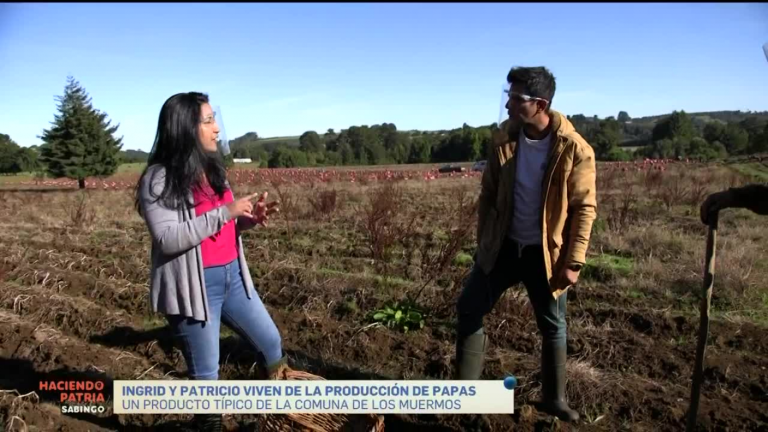 Haciendo Patria: Juan Pablo Queraltó conoció a Ingrid Gómez