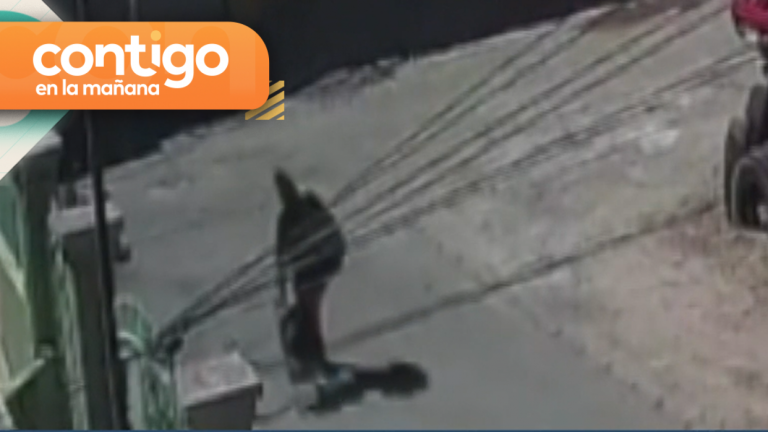 Robó $10 millones en menos de 24 horas: Ladrona se hace pasar por asesora de hogar para robar a las dueñas de casa