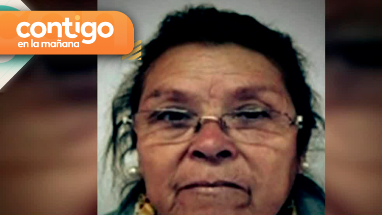 Desbaratan la “Banda de las Mamis”: Organización criminal de La Pintana era liderada por una mujer de 71 años