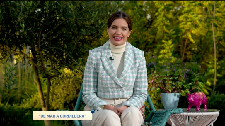 Sabingo | Capítulo 20 de agosto