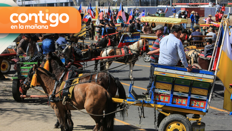 “No corresponde”: JC Rodríguez debatió con líder de la fundación “Soy del Campo” por la exposición de caballos durante las marchas