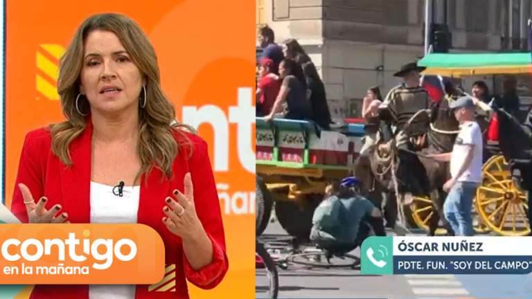 “No pueden difundir noticias falsas”: Monserrat Álvarez encaró a Óscar Nuñez por publicar imagen de supuesto caballo agredido