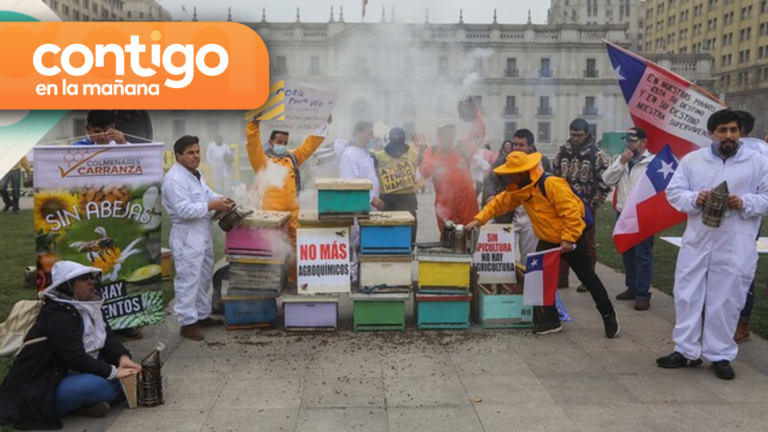 “Se están muriendo cientos de colmenas”: Apicultores organizaron manifestación frente a La Moneda