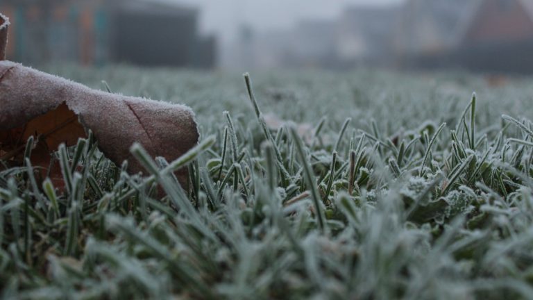 ¿De dónde salió la famosa frase 