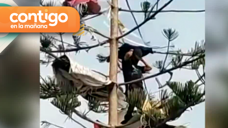 Impactante: Graban a personas durmiendo arriba de los árboles en Antofagasta