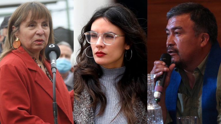 Vallejo por gestiones de ex ministra Vega con Héctor Llaitul: 