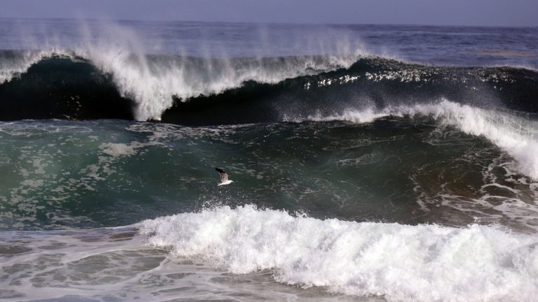 A partir del sábado: Emiten alerta por nuevas marejadas desde el Golfo de Penas hasta Arica