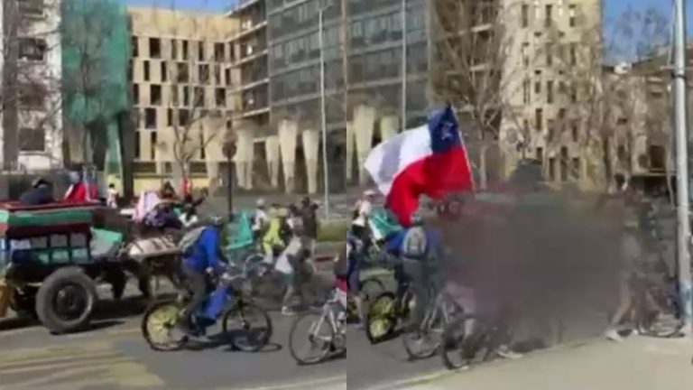 No fue formalizado: Conductor de carretón quedó en libertad y a la espera de ser citado