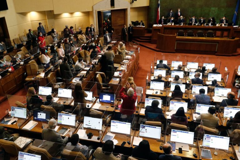 Congreso aprobó ley que aumenta sanciones al robo de madera y autoriza 
