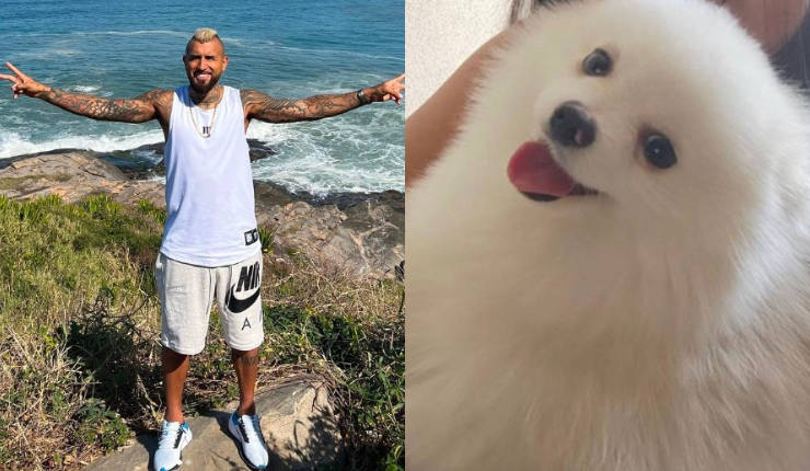 Ofrece $5 millones: El desesperado llamado de Arturo Vidal para encontrar a perrito de sus hijos