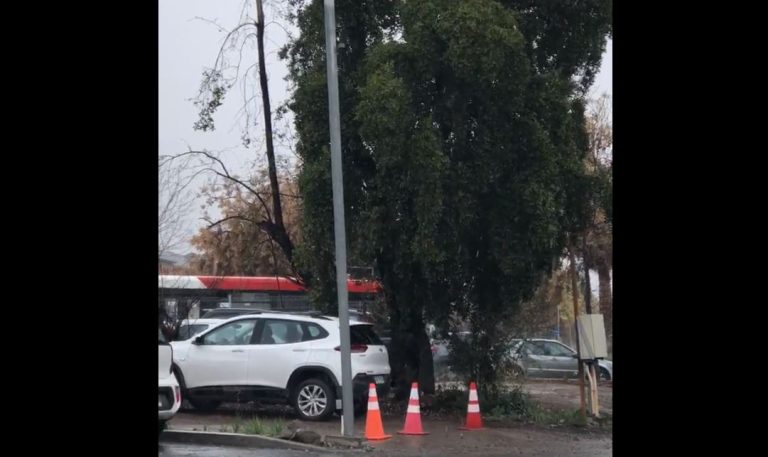 Los videos que dejó la sorpresiva caída de nieve y aguanieve en parte de la Región Metropolitana