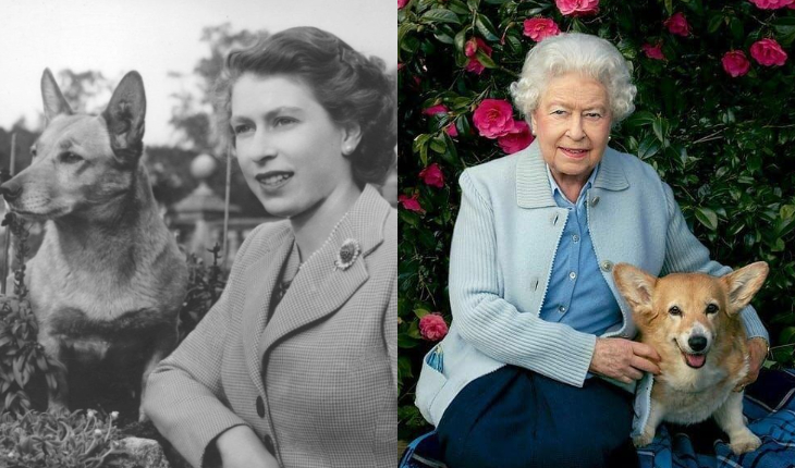 ¿Una dog lover? El fuerte vínculo de la reina Isabel II con los perros corgi hasta sus últimos días