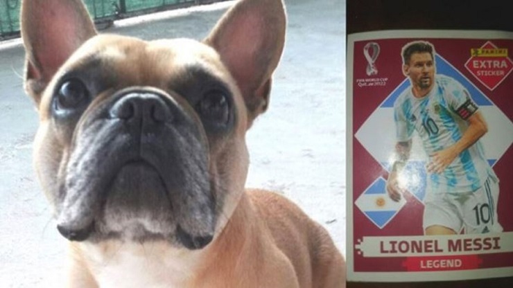 Niño de 7 años ofrece su lámina de Lionel Messi como recompensa para recuperar a perrito robado de su amiga