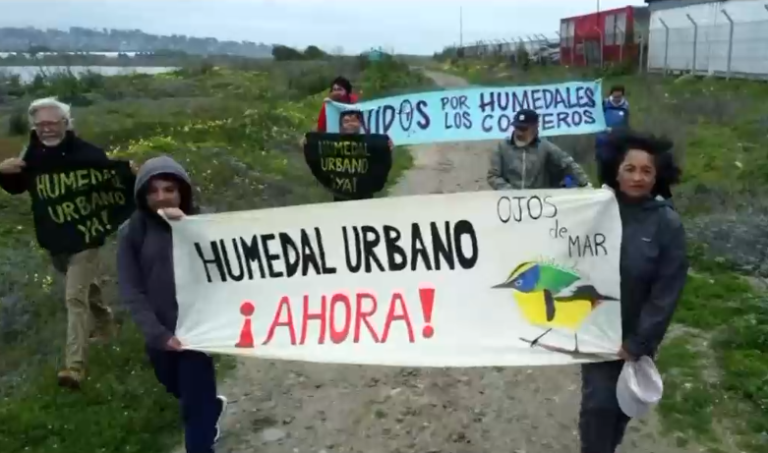 Vecinos contra un megapuerto: La lucha para proteger un humedal en San Antonio