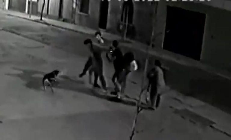 Hombres mataron a joven en Parque Almagro golpeándolo con su scooter: Ya hay detenidos