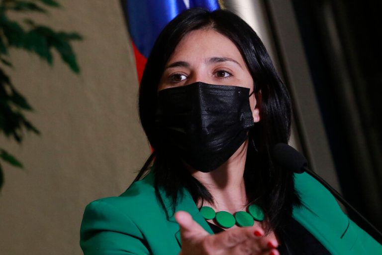 Criticaron a Karol Cariola por mensaje de cuenta parodia: La diputada acusó suplantación de identidad